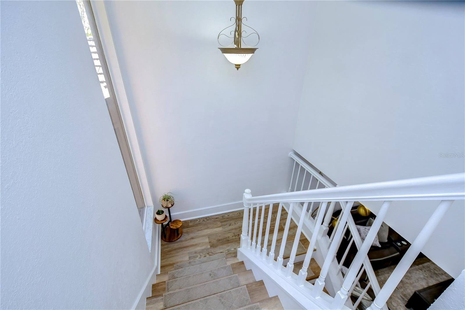 29909 BAYWOOD LN, WESLEY CHAPEL, FL, 33543