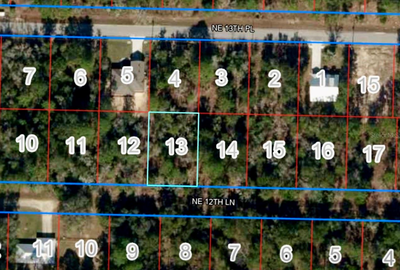 Lot 13 NE 12TH LN, WILLISTON, FL, 32696