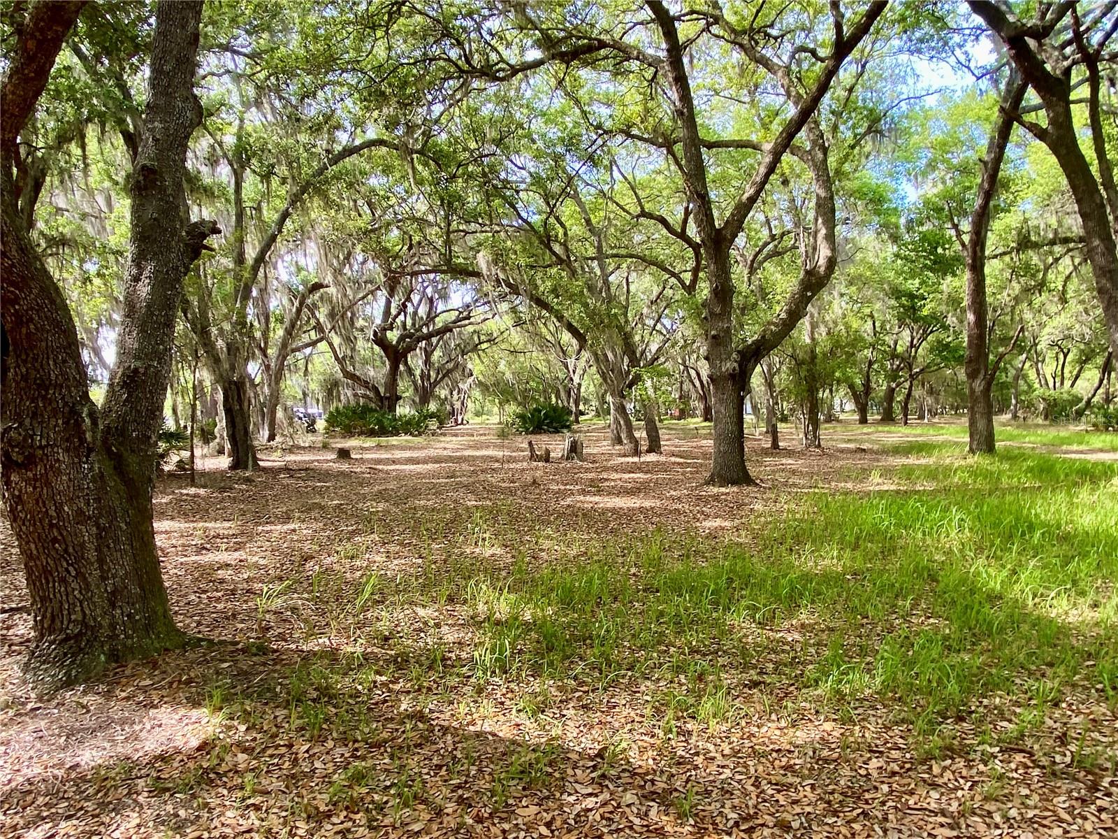 850 EDEN DR, SAINT CLOUD, FL, 34771