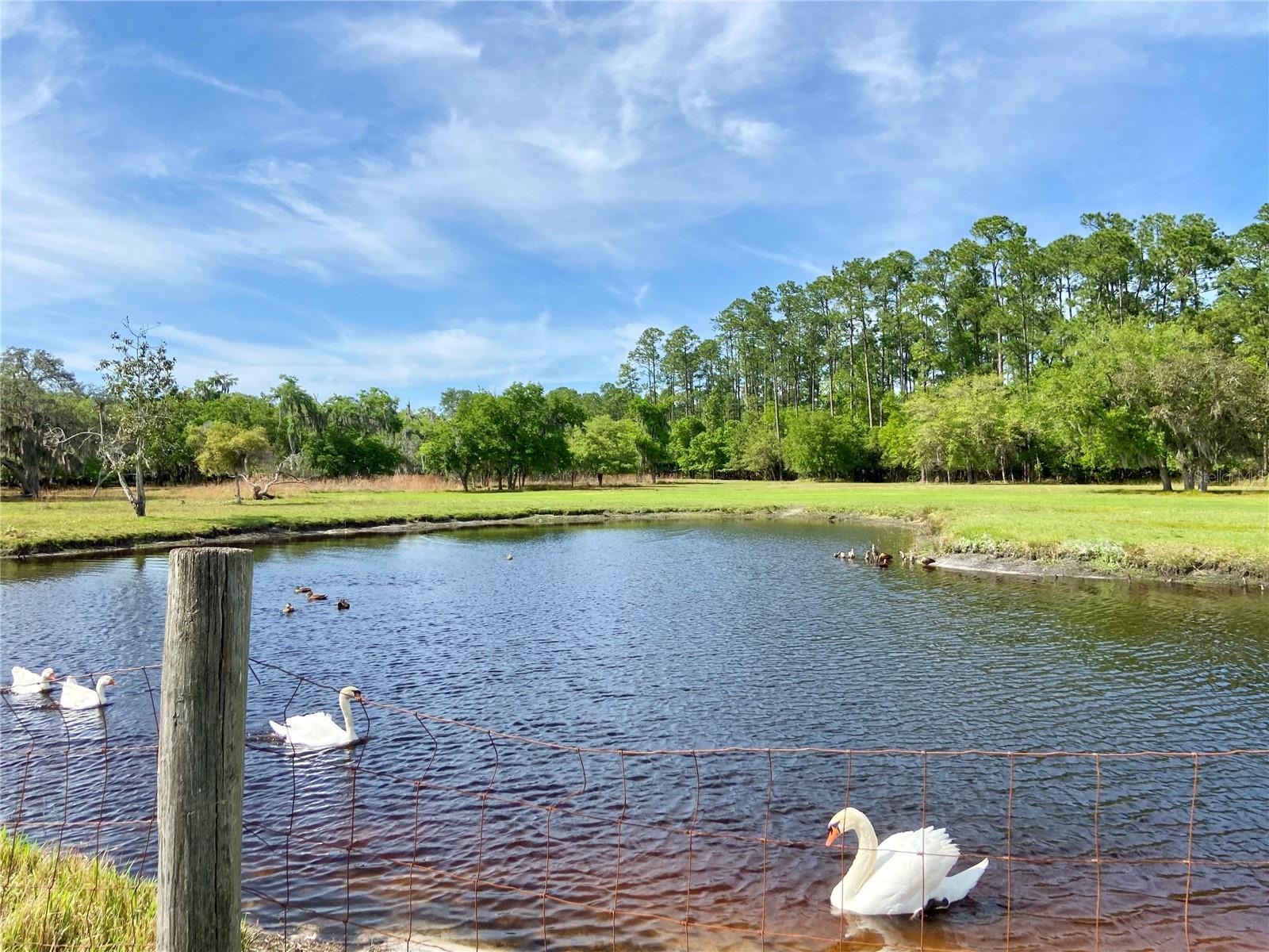 850 EDEN DR, SAINT CLOUD, FL, 34771