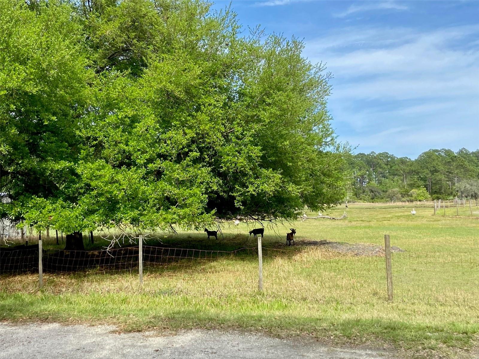 850 EDEN DR, SAINT CLOUD, FL, 34771