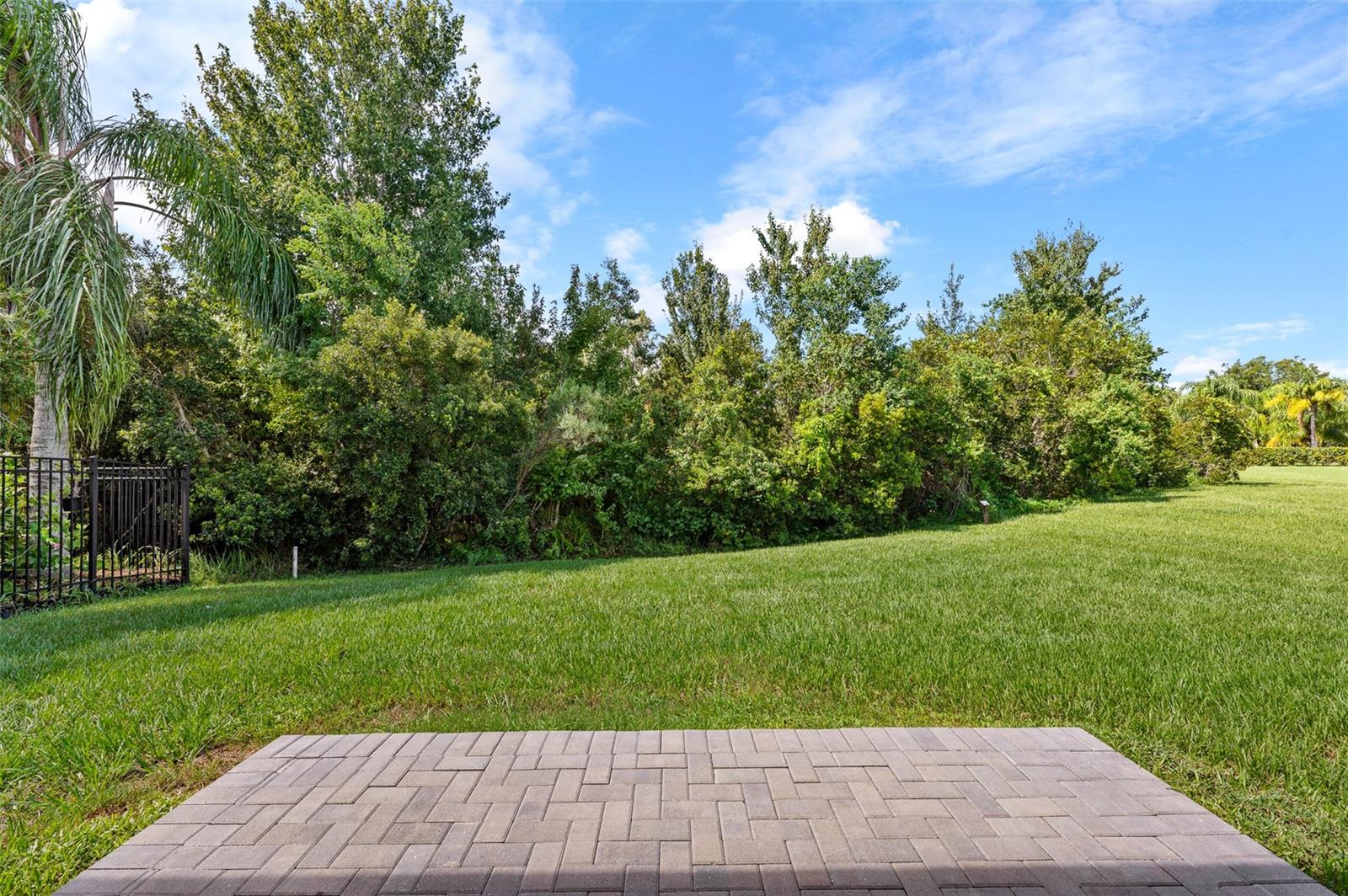 4153 WATERVILLE AVE, WESLEY CHAPEL, FL, 33543