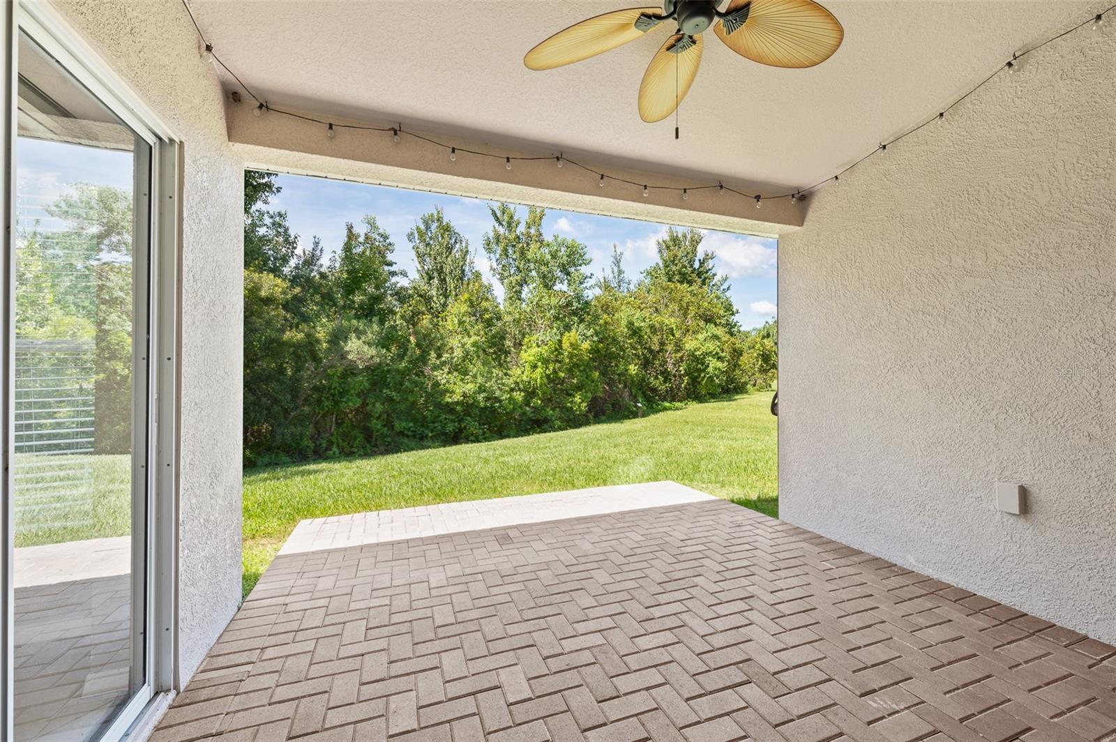 4153 WATERVILLE AVE, WESLEY CHAPEL, FL, 33543