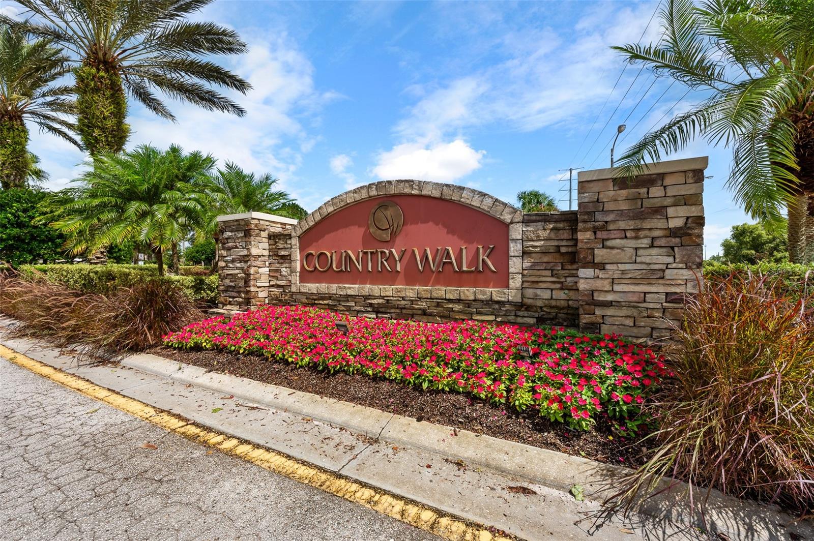 4153 WATERVILLE AVE, WESLEY CHAPEL, FL, 33543