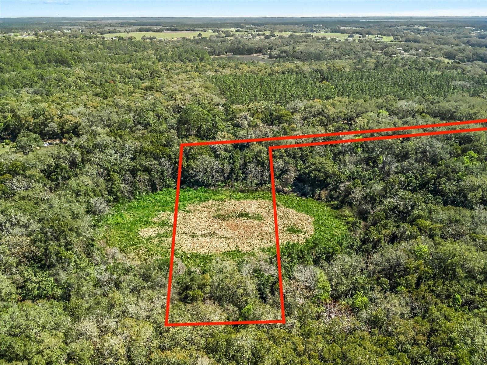 15363 SE 156TH PLACE RD, WEIRSDALE, FL, 32195