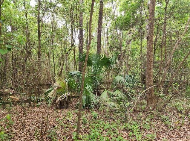15363 SE 156TH PLACE RD, WEIRSDALE, FL, 32195