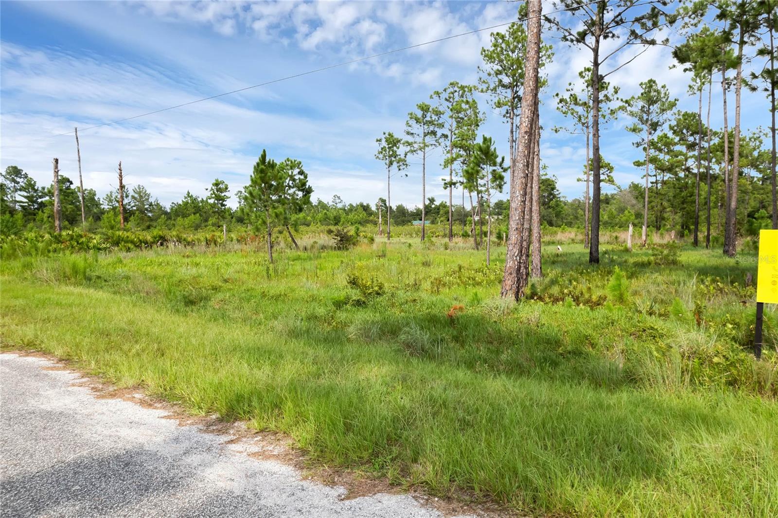 30808 APRICOT AVE, EUSTIS, FL, 32736