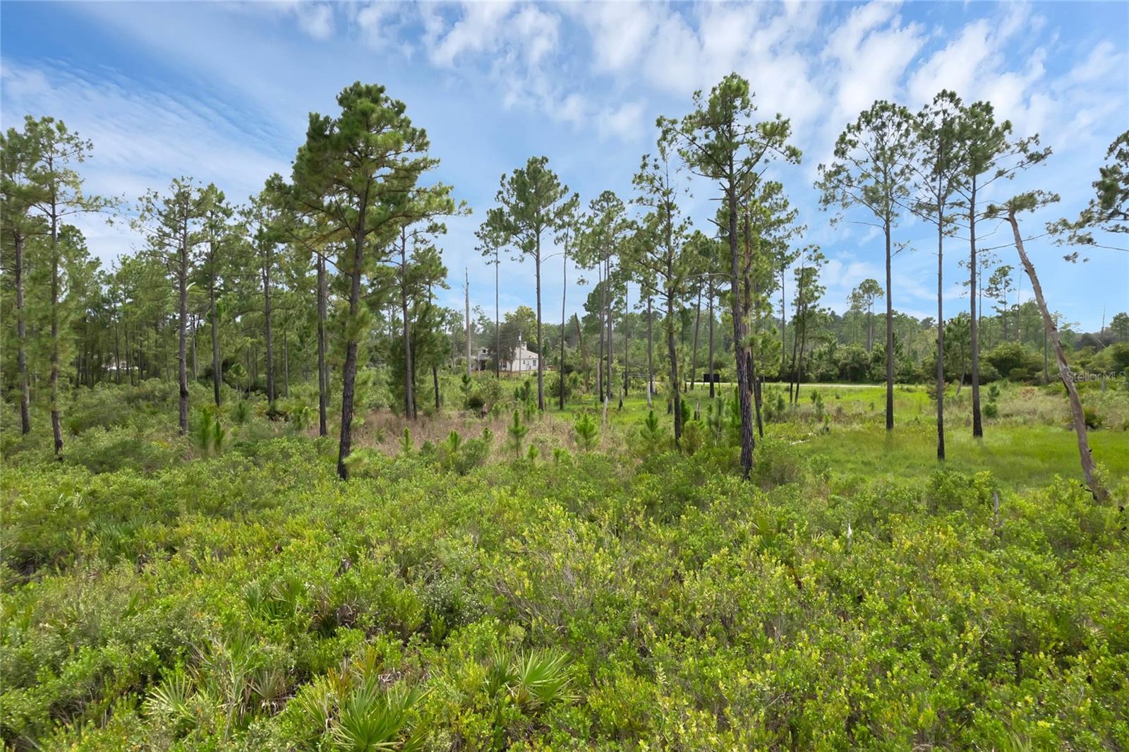 30808 APRICOT AVE, EUSTIS, FL, 32736