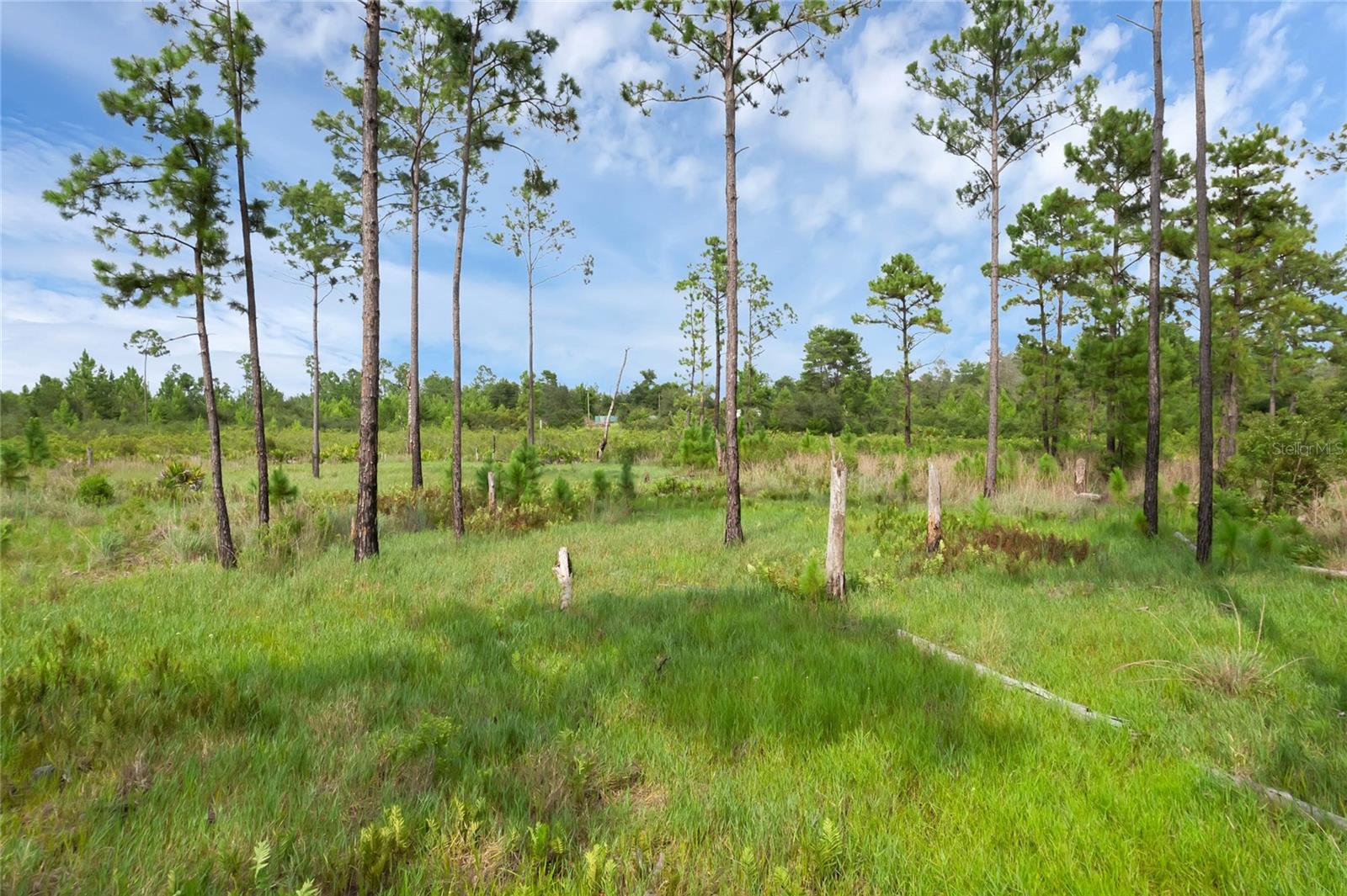 30808 APRICOT AVE, EUSTIS, FL, 32736