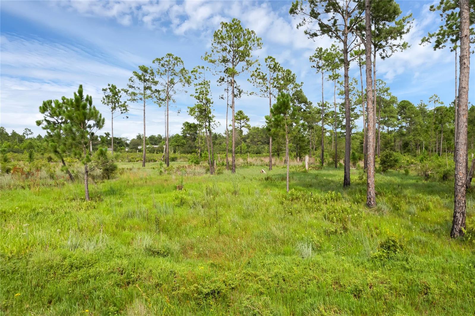 30808 APRICOT AVE, EUSTIS, FL, 32736