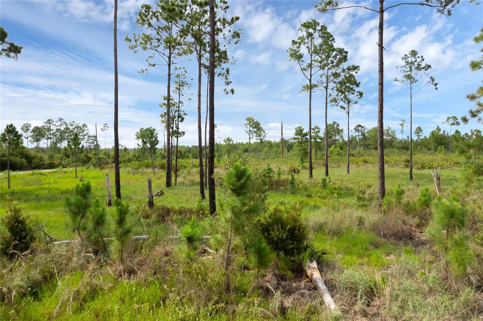 30808 APRICOT AVE, EUSTIS, FL, 32736