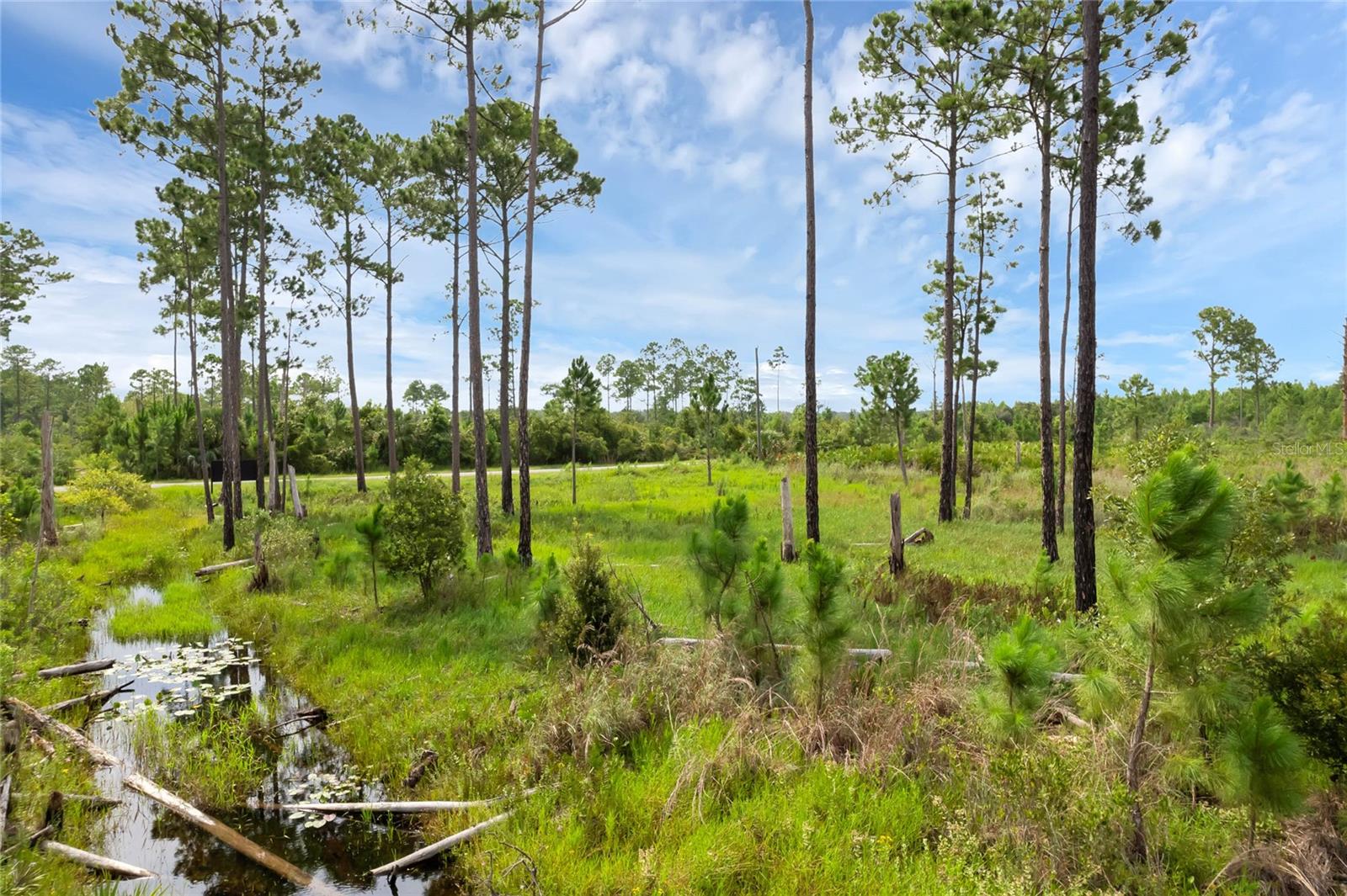 30808 APRICOT AVE, EUSTIS, FL, 32736