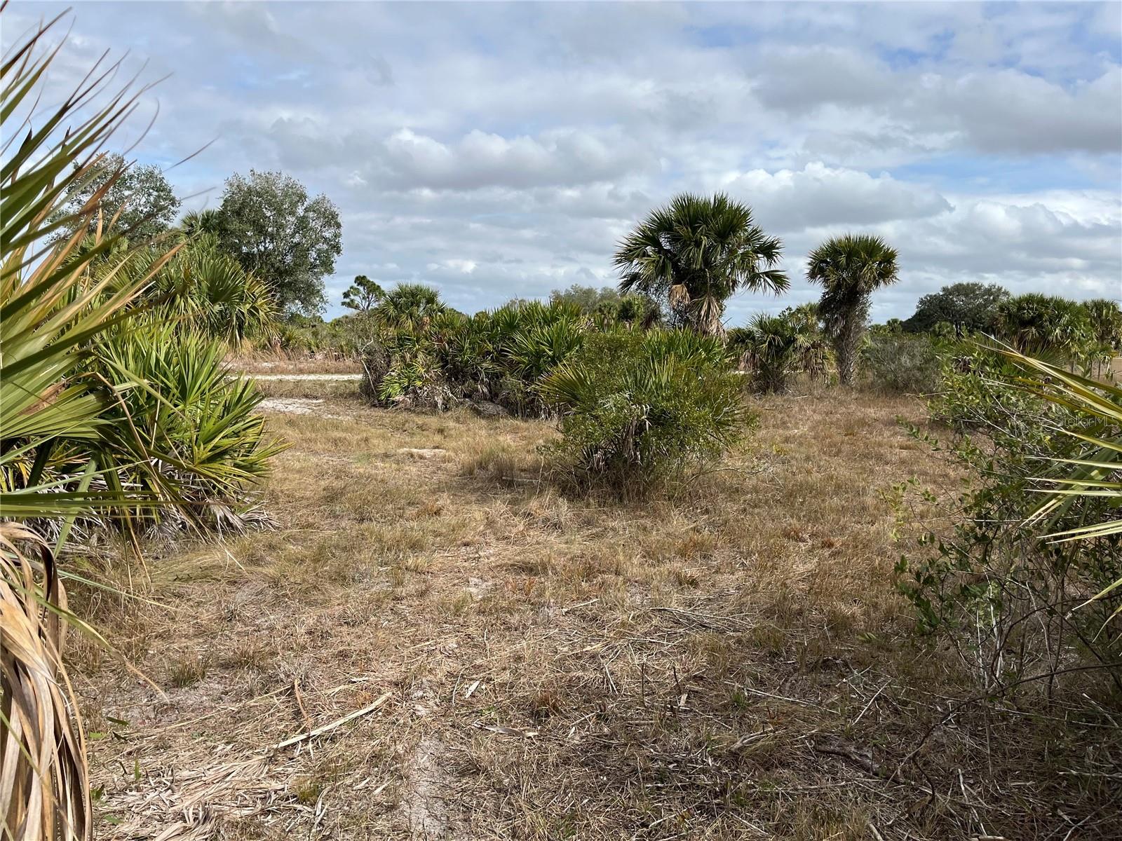 20170 NW 280TH ST, OKEECHOBEE, FL, 34972