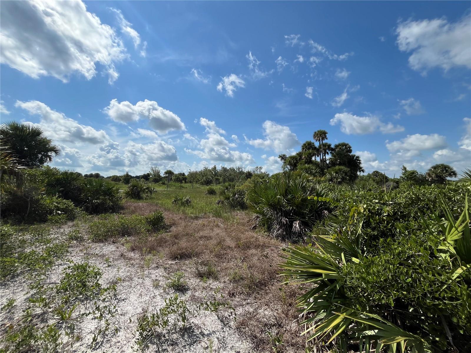 20170 NW 280TH ST, OKEECHOBEE, FL, 34972
