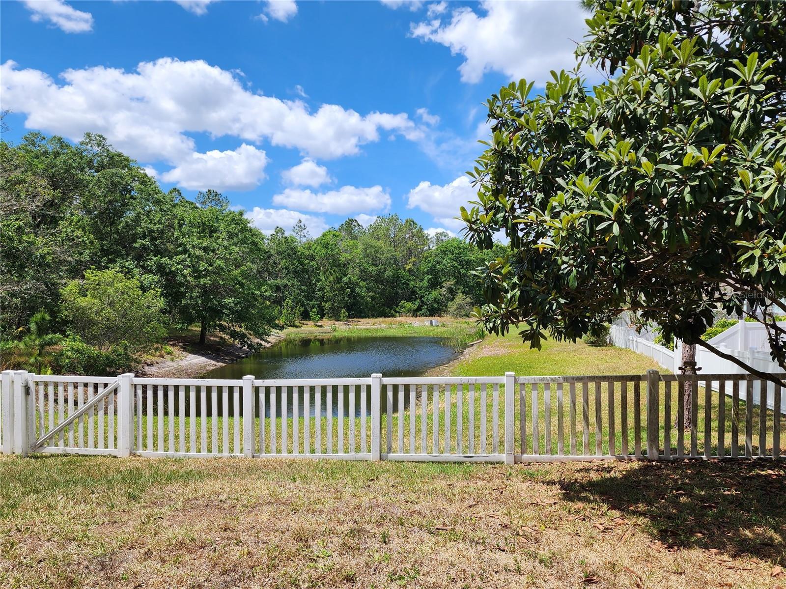 17106 KITEGLIDE CT, LITHIA, FL, 33547