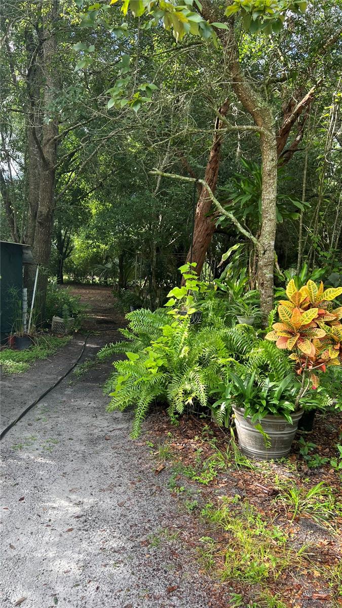800 MOONLIGHT CT, SAINT CLOUD, FL, 34771