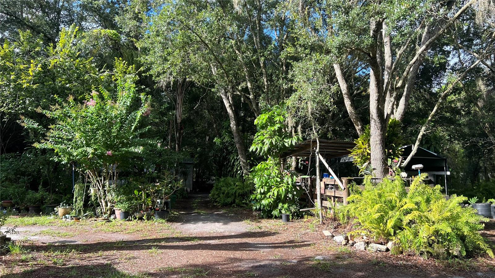 800 MOONLIGHT CT, SAINT CLOUD, FL, 34771