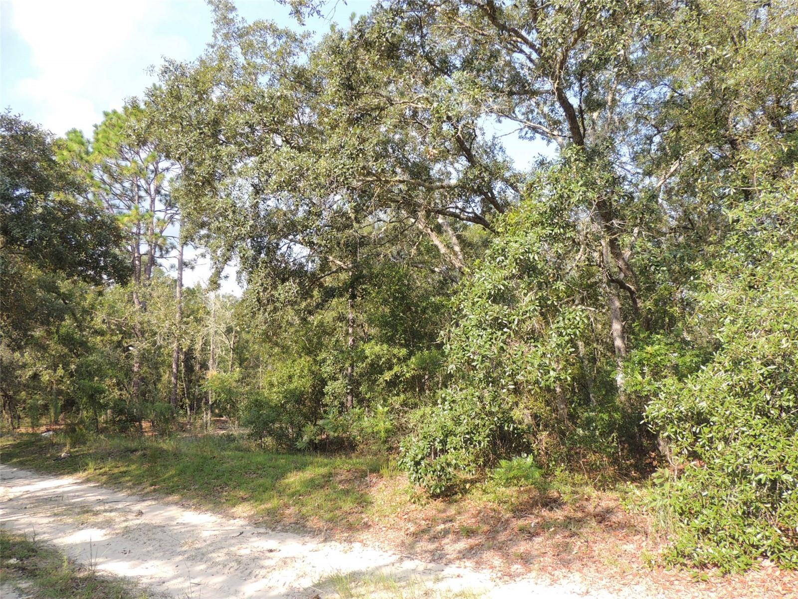 7550 NE 95TH AVE, BRONSON, FL, 32621