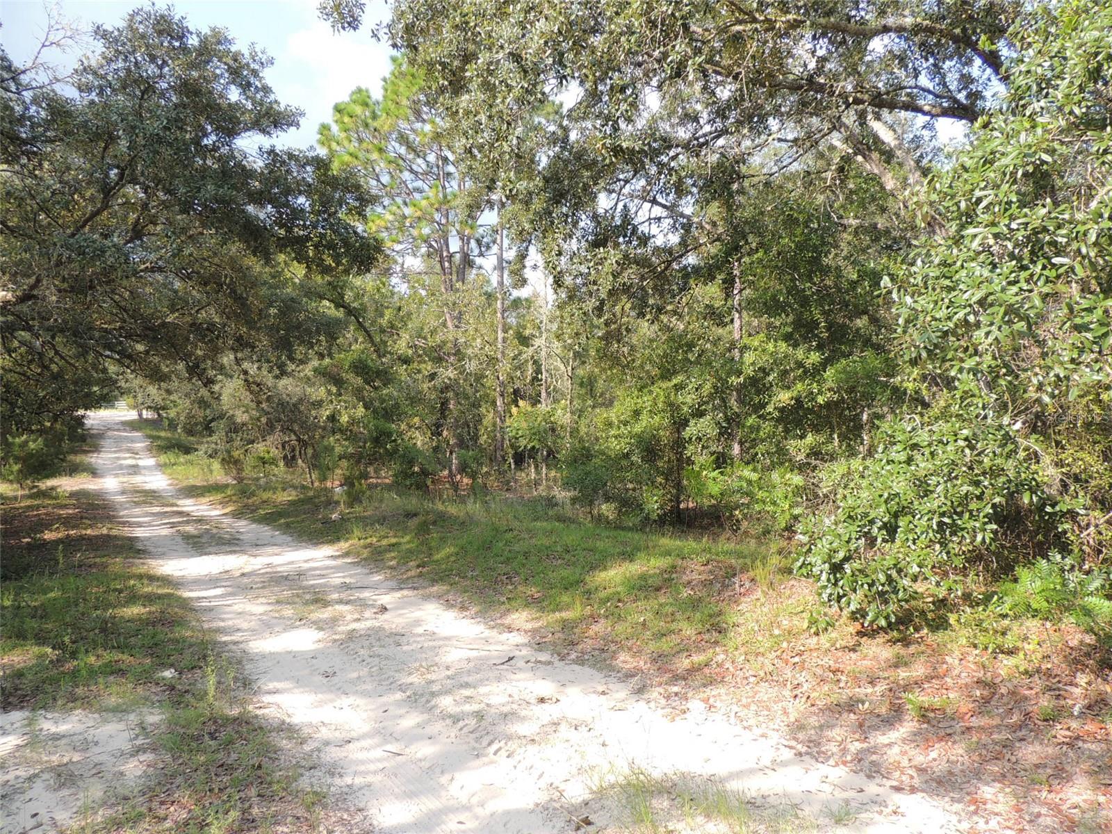 7550 NE 95TH AVE, BRONSON, FL, 32621