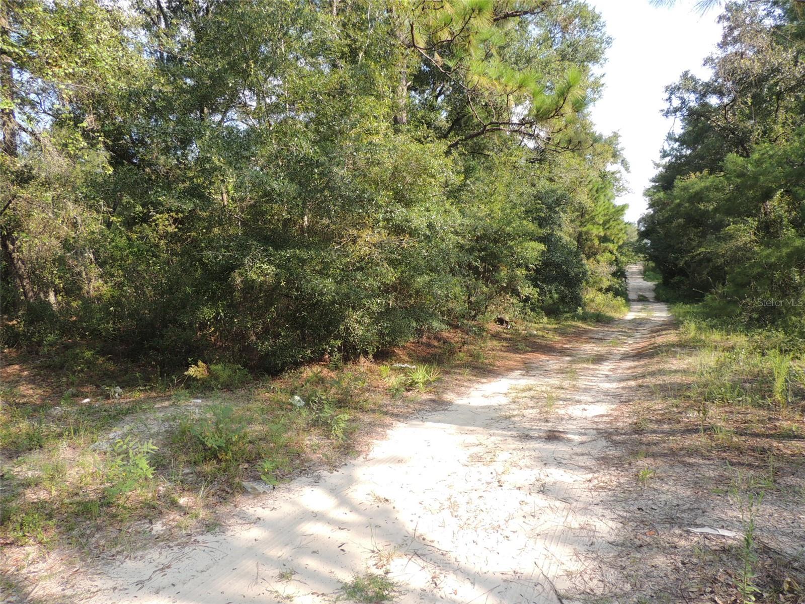 7550 NE 95TH AVE, BRONSON, FL, 32621
