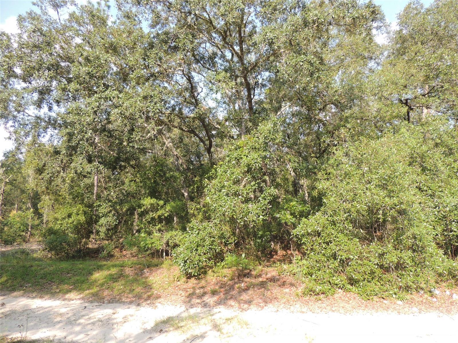 7550 NE 95TH AVE, BRONSON, FL, 32621