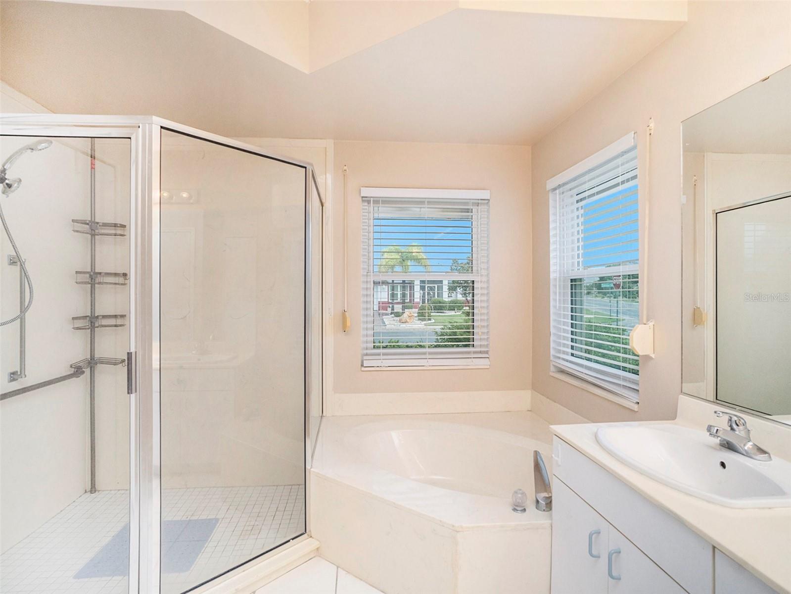 302 CALOOSA PALMS CT, SUN CITY CENTER, FL, 33573