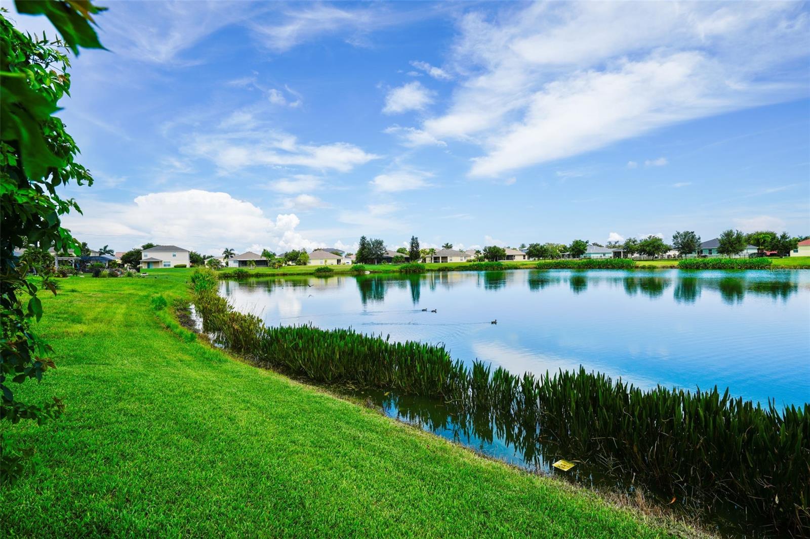 331 STAR SHELL DR, APOLLO BEACH, FL, 33572