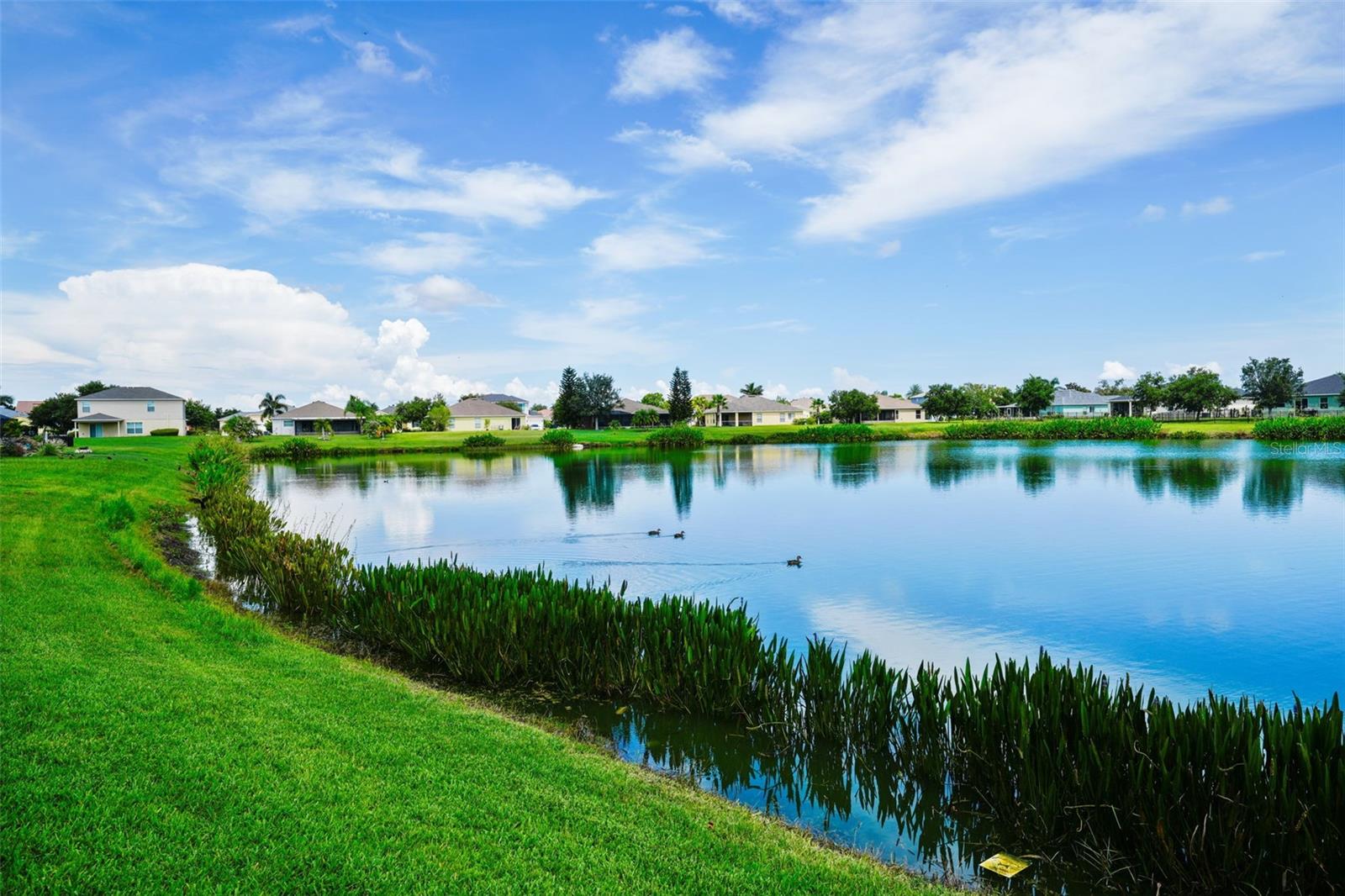 331 STAR SHELL DR, APOLLO BEACH, FL, 33572