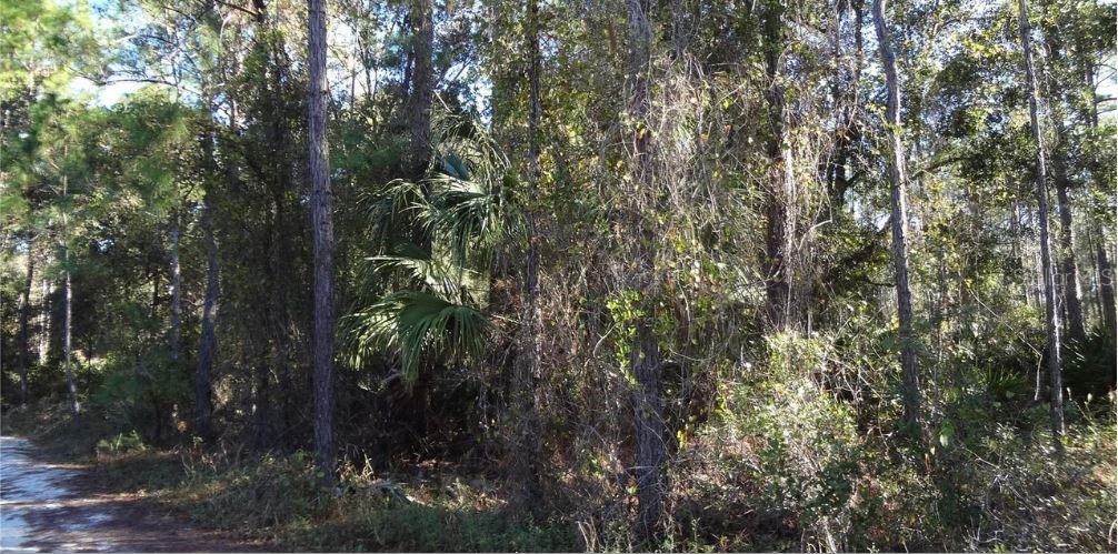 12TH AVE, DELAND, FL, 32724