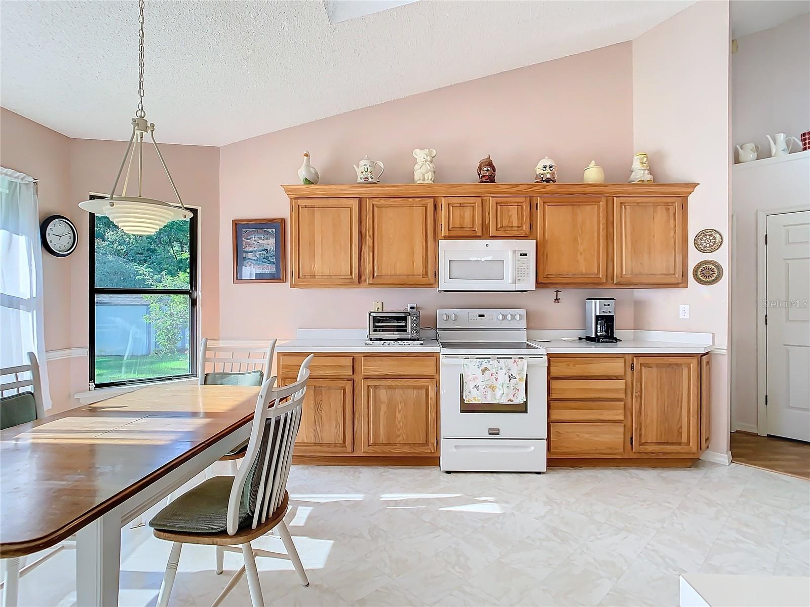 190 WHITE DOVE AVE, ORANGE CITY, FL, 32763