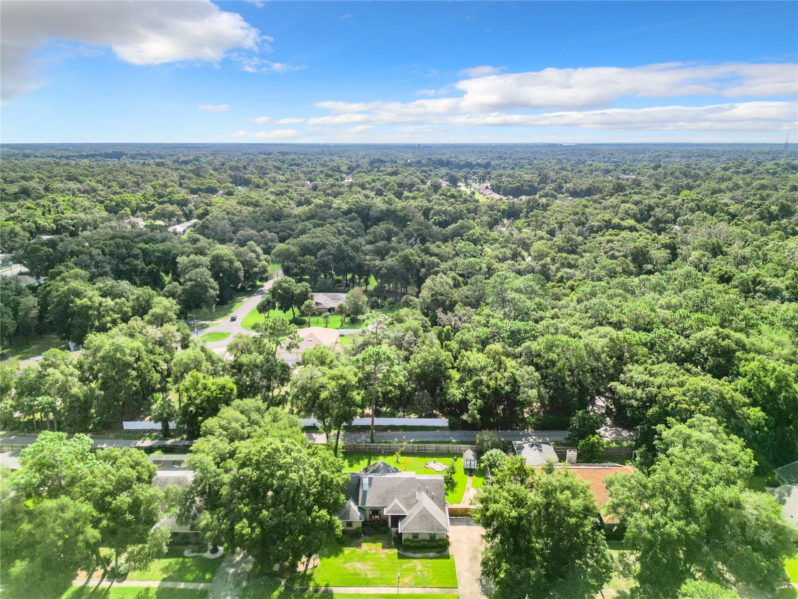 190 WHITE DOVE AVE, ORANGE CITY, FL, 32763