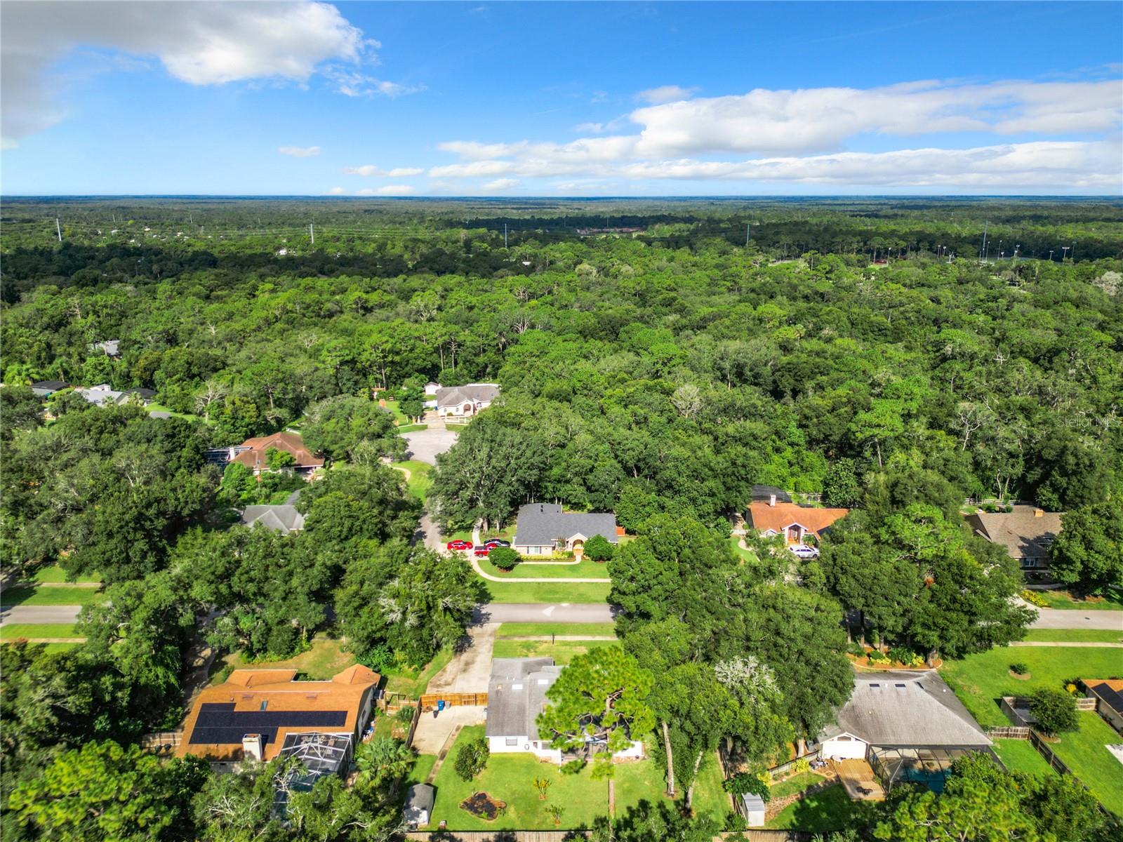 190 WHITE DOVE AVE, ORANGE CITY, FL, 32763