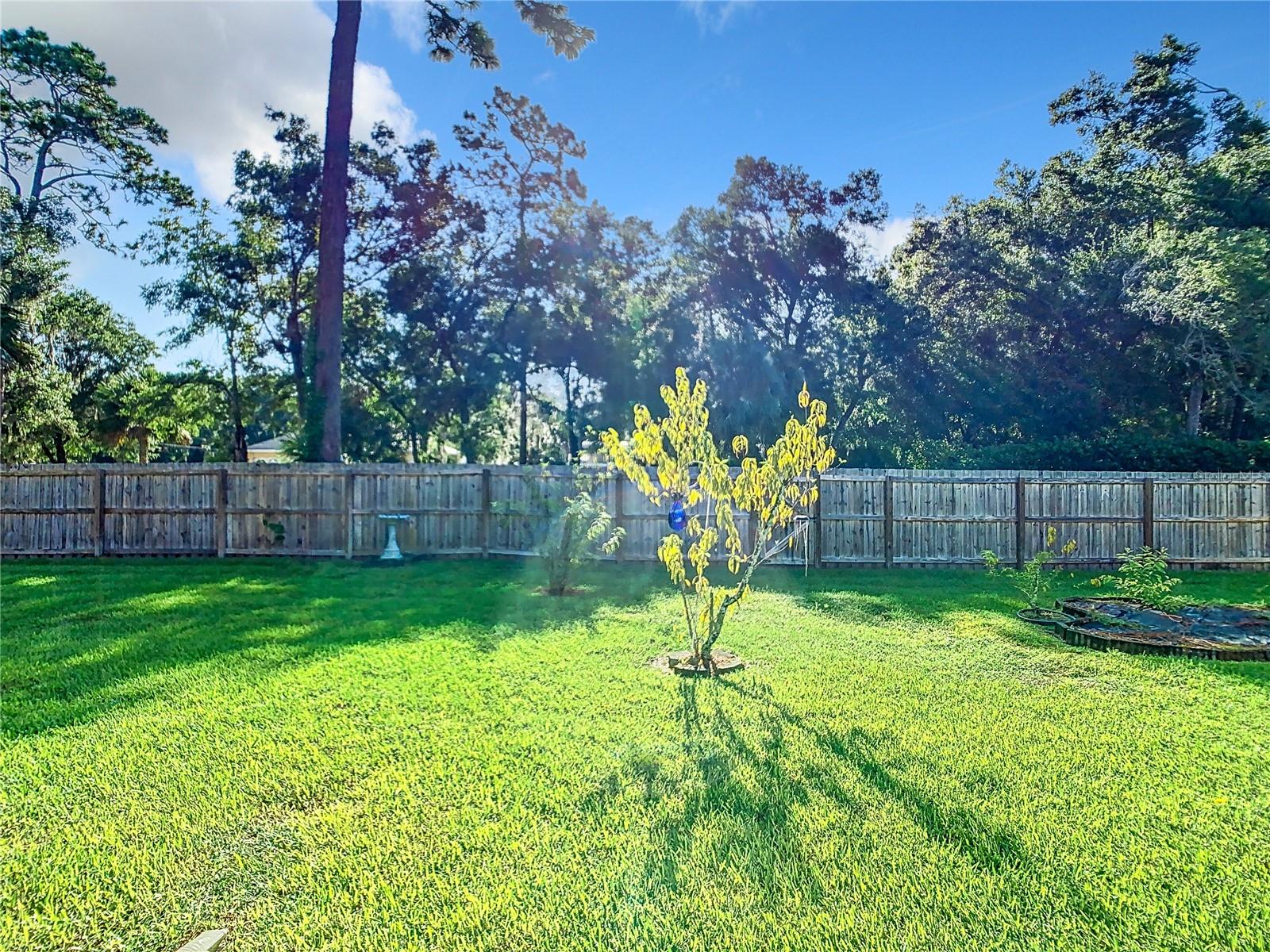 190 WHITE DOVE AVE, ORANGE CITY, FL, 32763