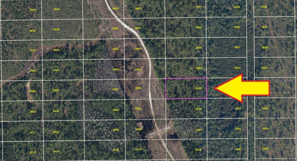 DILL RD, ORLANDO, FL, 32820