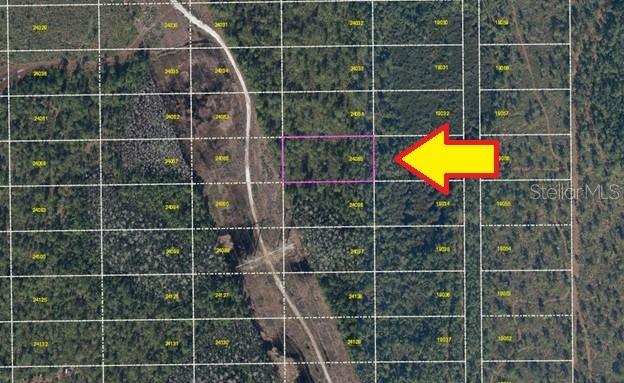 DILL RD, ORLANDO, FL, 32820