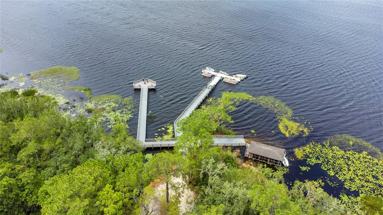 3332 CAT BRIER TRL, HARMONY, FL, 34773