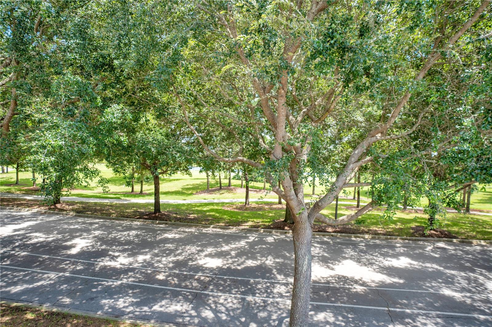 3332 CAT BRIER TRL, HARMONY, FL, 34773