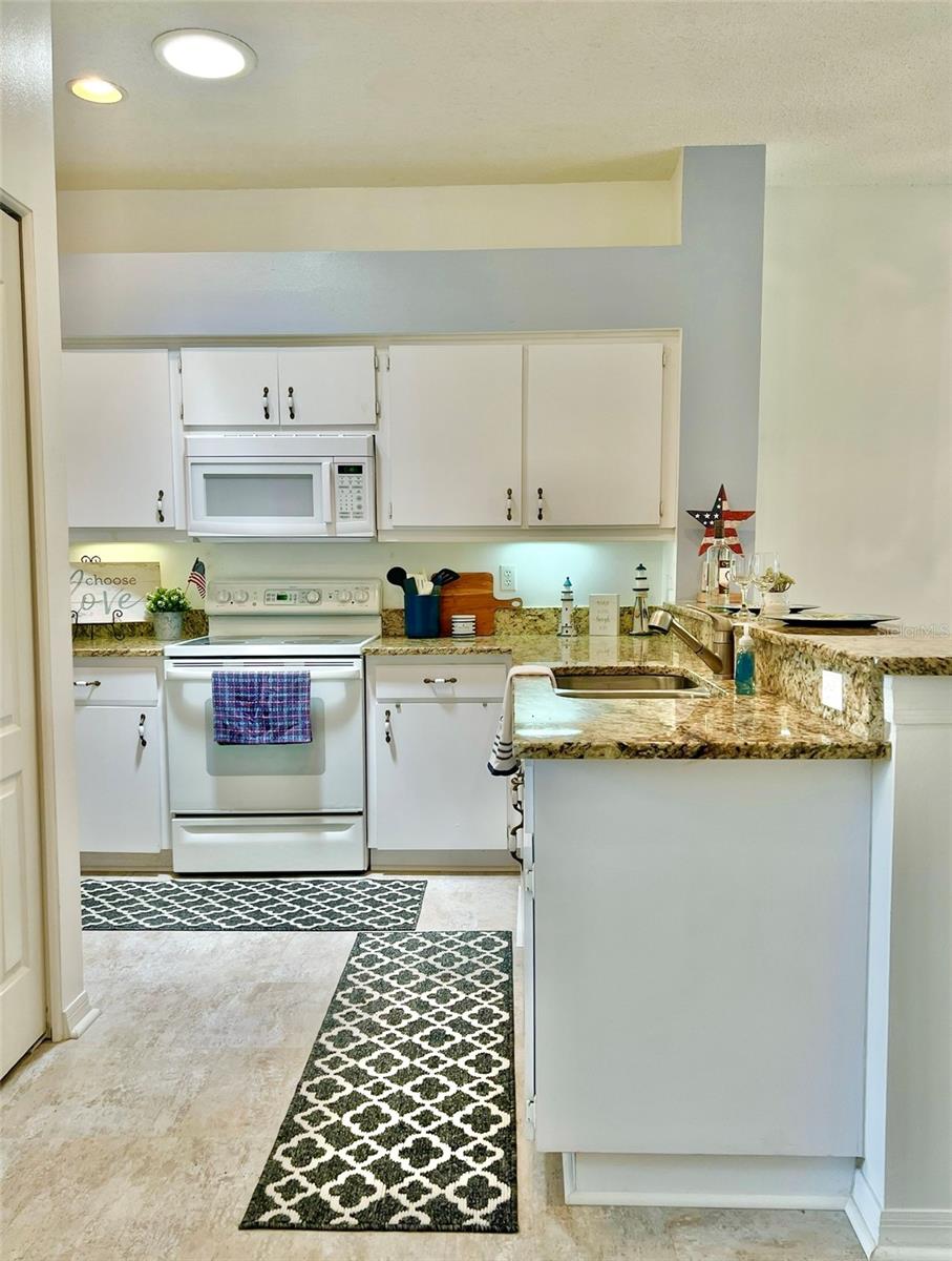 761 TREMONT GREENS LN #61, SUN CITY CENTER, FL, 33573