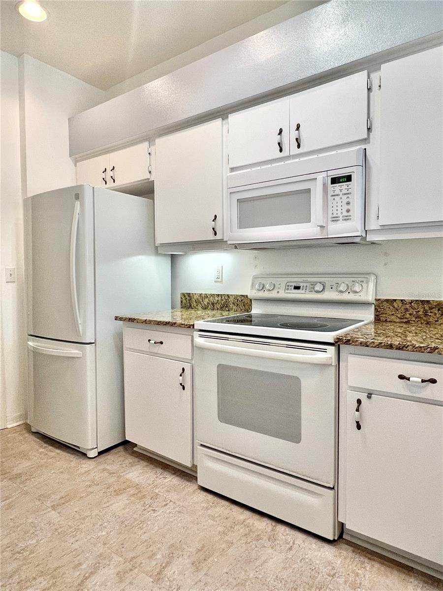 761 TREMONT GREENS LN #61, SUN CITY CENTER, FL, 33573