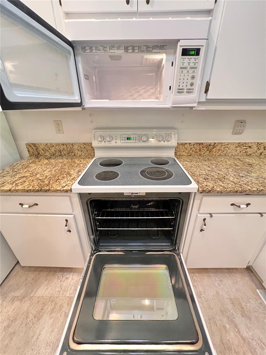 761 TREMONT GREENS LN #61, SUN CITY CENTER, FL, 33573