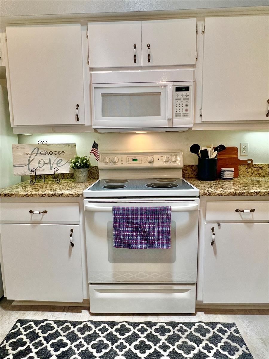 761 TREMONT GREENS LN #61, SUN CITY CENTER, FL, 33573