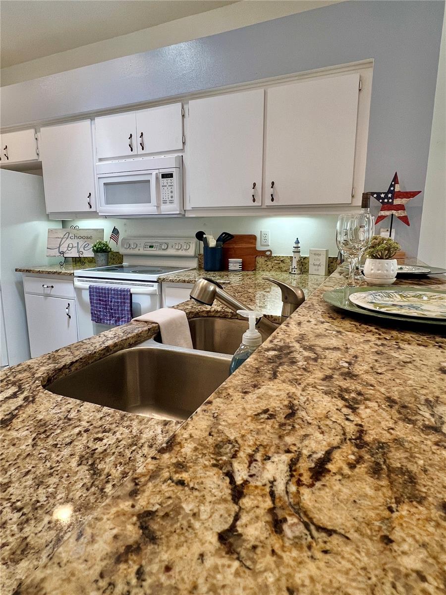 761 TREMONT GREENS LN #61, SUN CITY CENTER, FL, 33573