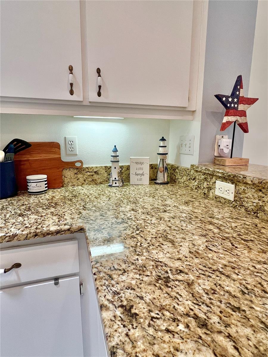761 TREMONT GREENS LN #61, SUN CITY CENTER, FL, 33573