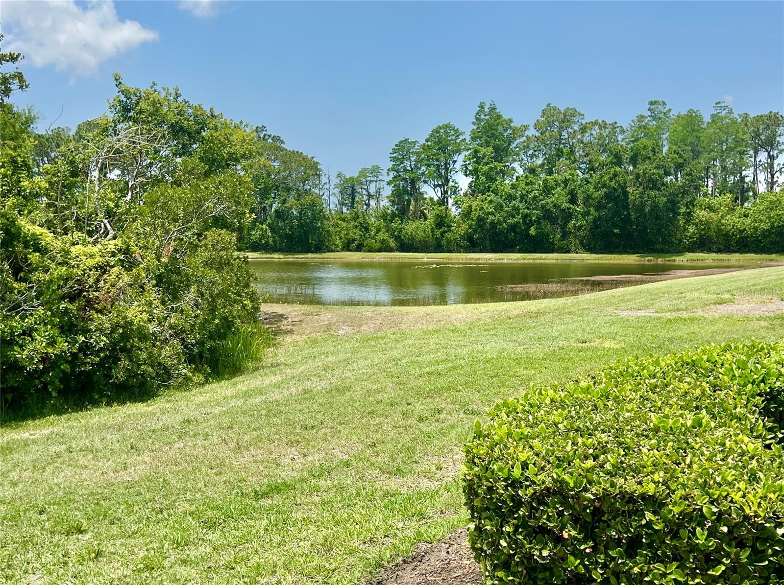 761 TREMONT GREENS LN #61, SUN CITY CENTER, FL, 33573