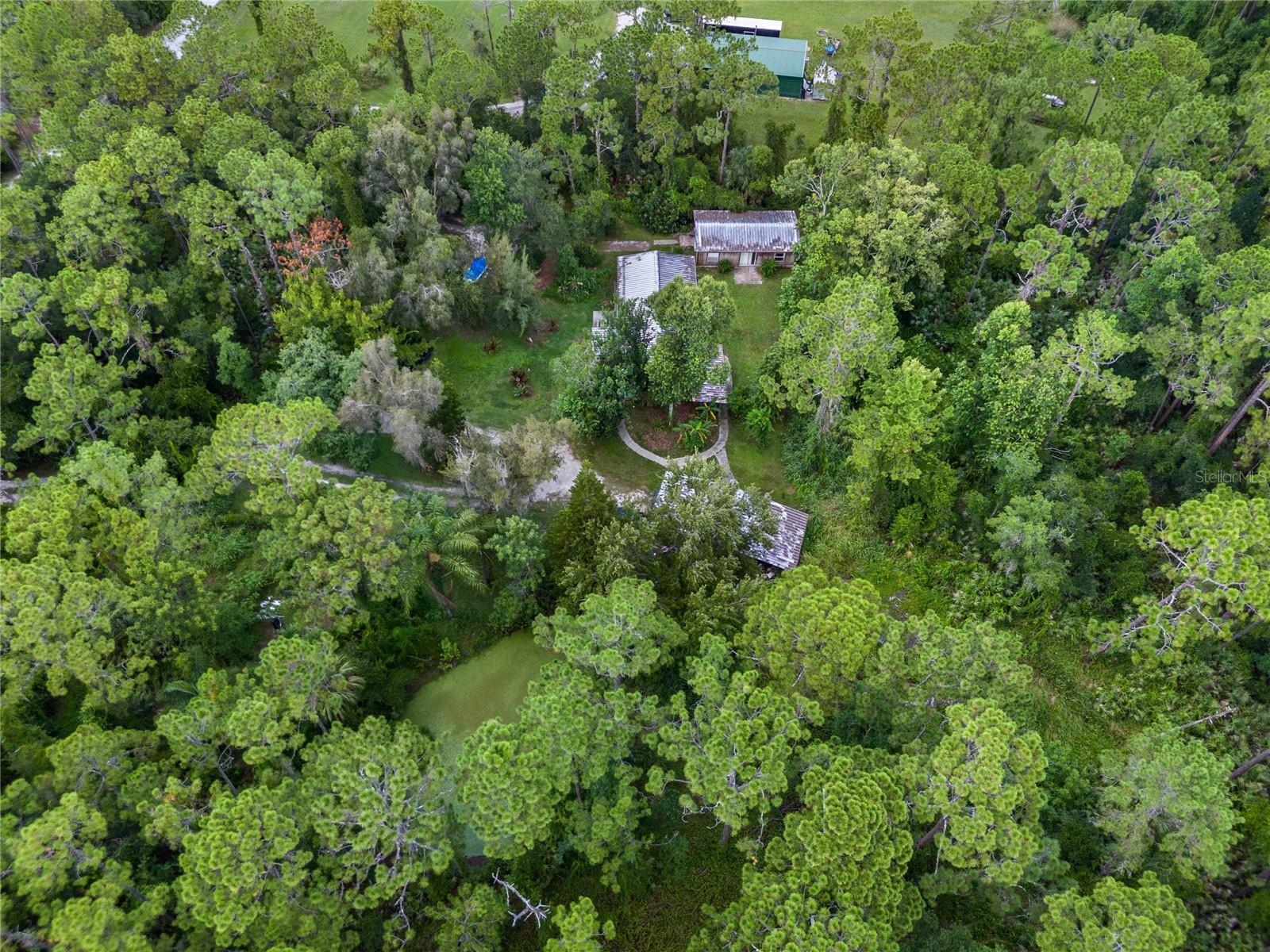 1099 BEE LN, GENEVA, FL, 32732