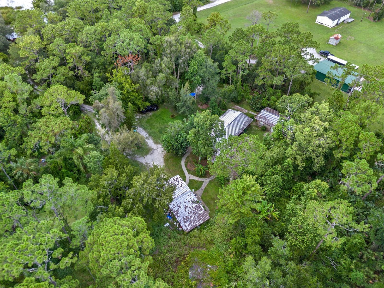 1099 BEE LN, GENEVA, FL, 32732