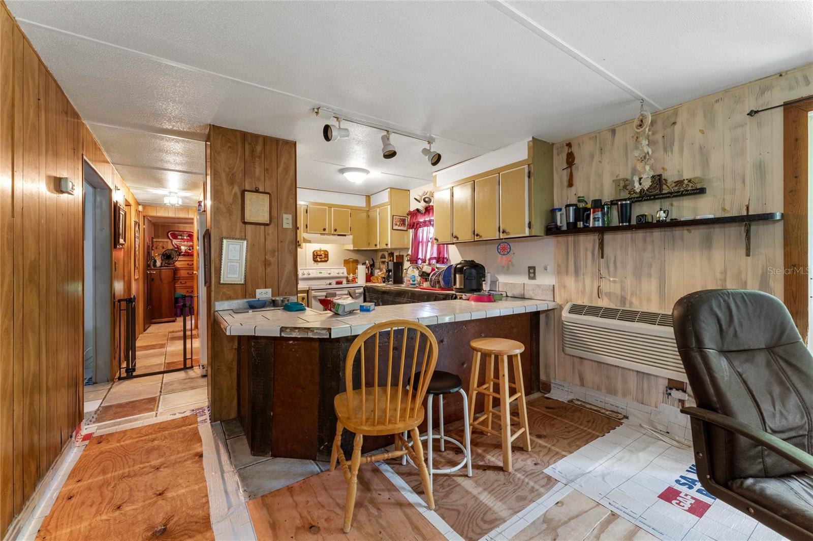 1099 BEE LN, GENEVA, FL, 32732