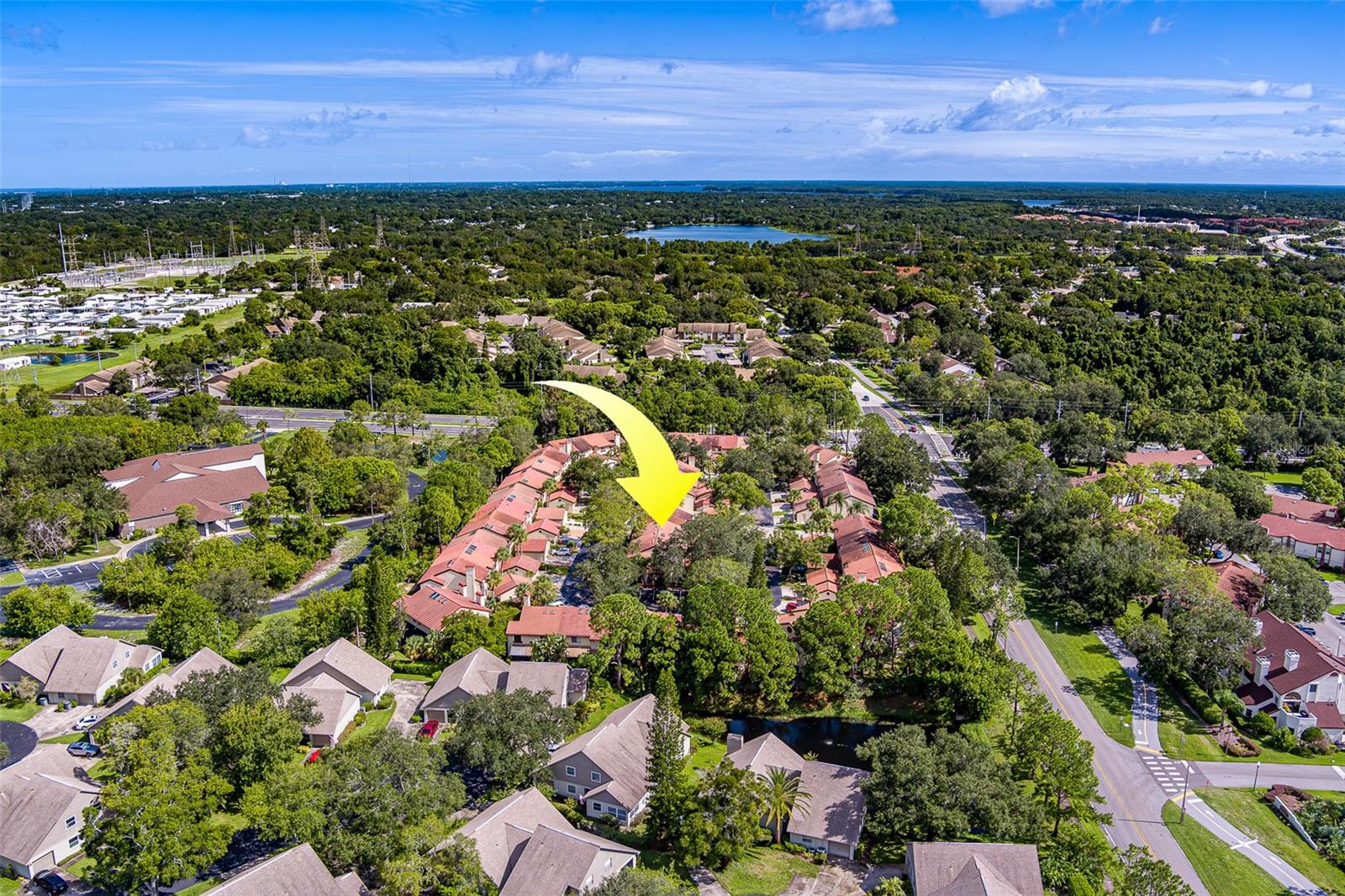 3460 COUNTRYSIDE BLVD #59, CLEARWATER, FL, 33761