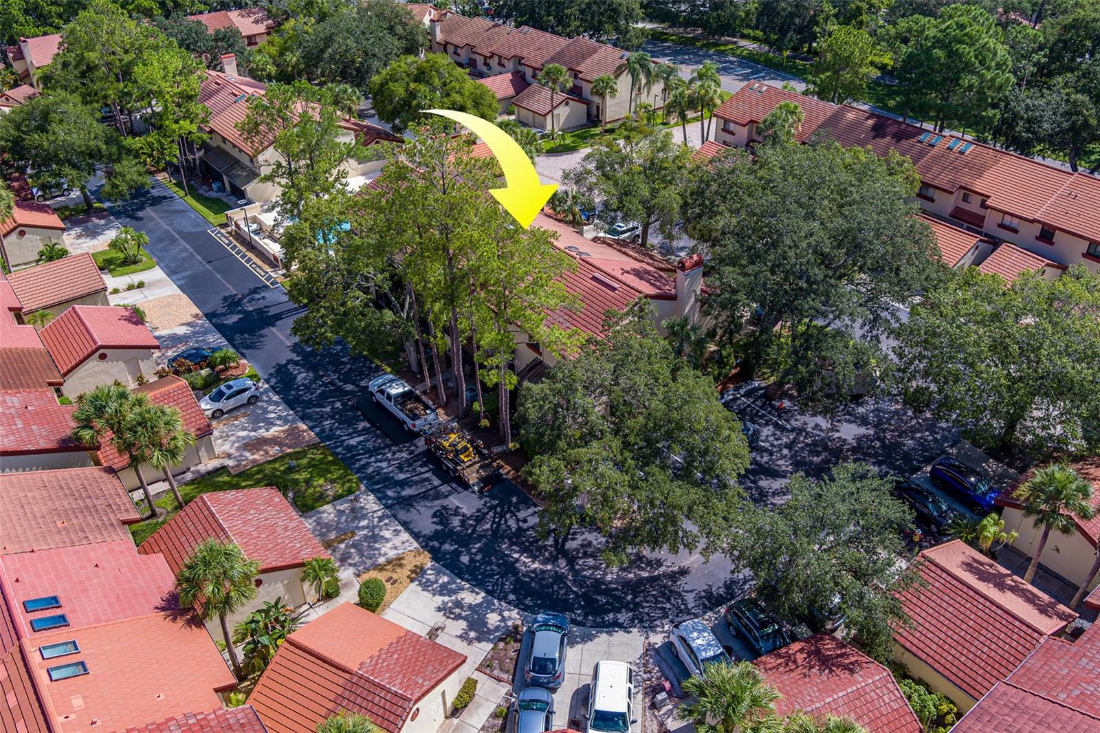 3460 COUNTRYSIDE BLVD #59, CLEARWATER, FL, 33761