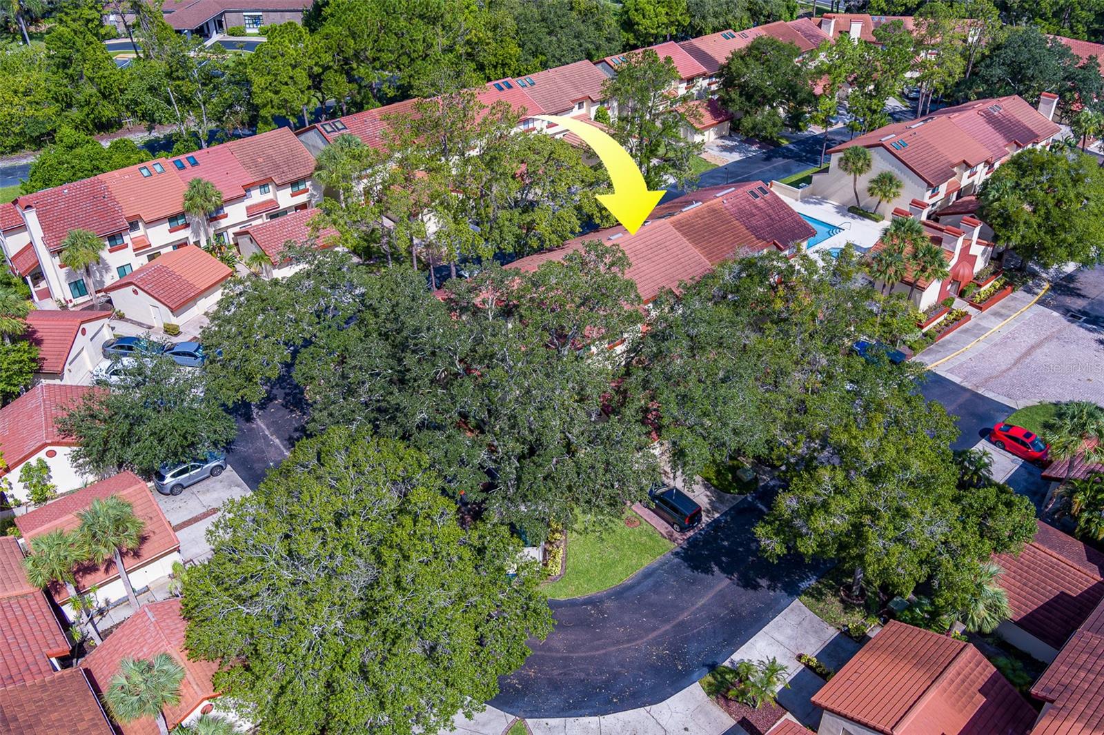 3460 COUNTRYSIDE BLVD #59, CLEARWATER, FL, 33761